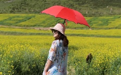 挪威的森林截了一小段做运动